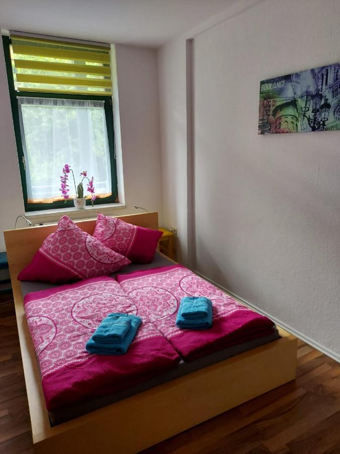 Ferienwohnung Eddi Райхенбах-им-Фогтланд Екстериор снимка